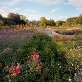 Schlossgarten Ippenburg