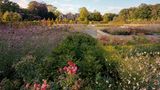 Schlossgarten Ippenburg