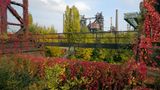 Volkspark des 21. Jahrhunderts
