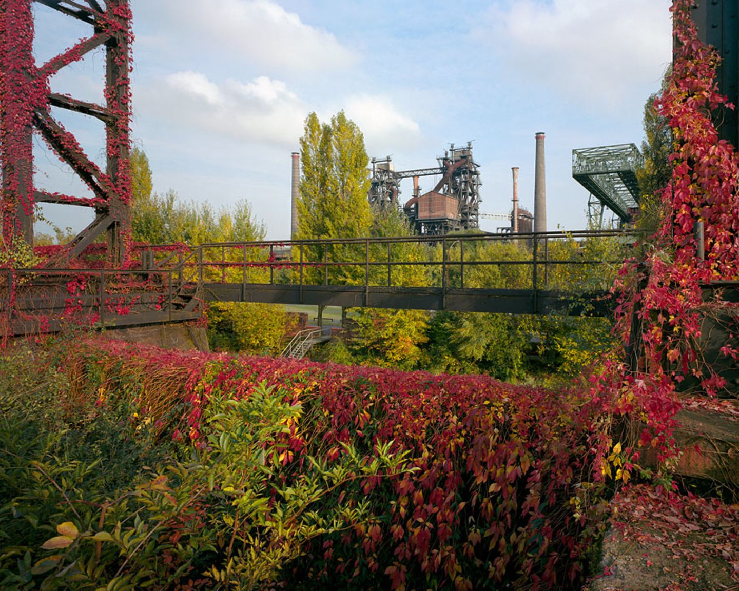 Volkspark des 21. Jahrhunderts