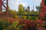 Volkspark des 21. Jahrhunderts