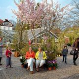 Gärtnern lernen ist leicht