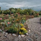 Sonnenuntergangsbeet