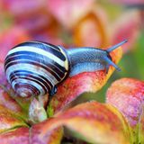 GEO Leserfoto: Die besten Leserfotos: September 2014