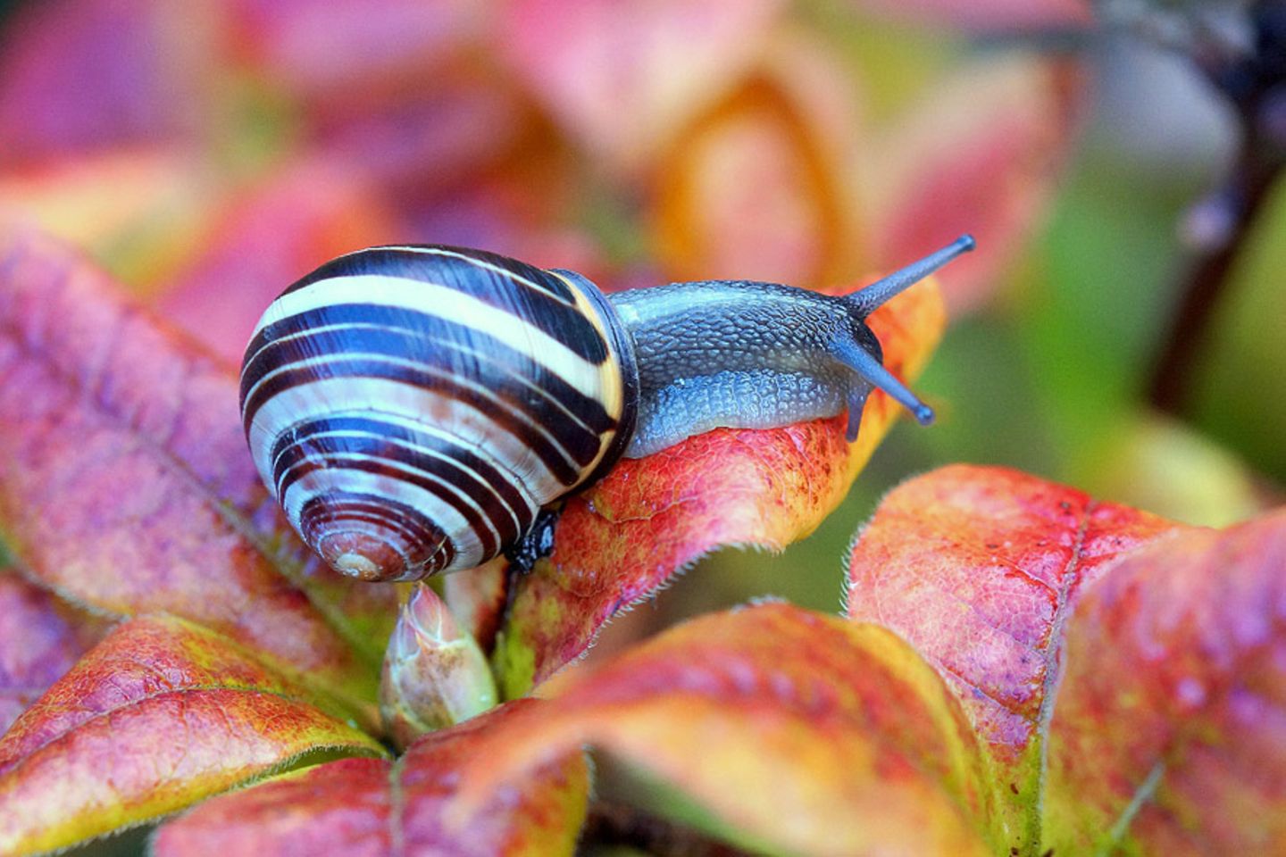 GEO Leserfoto: Die besten Leserfotos: September 2014