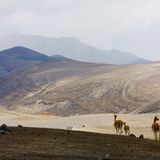 GEO Leserfoto: Die besten Leserfotos: September 2014 - Bild 3