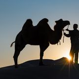 GEO Leserfoto: Die besten Leserfotos: September 2014 - Bild 7