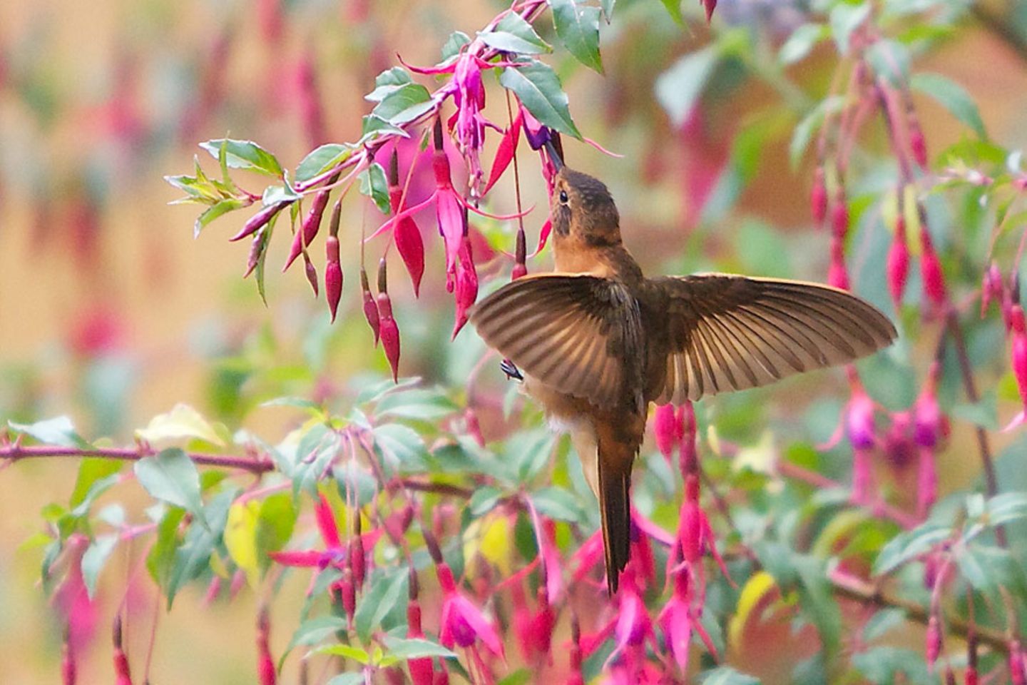 GEO Leserfoto: Die besten Leserfotos: September 2014 - Bild 8