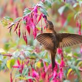 GEO Leserfoto: Die besten Leserfotos: September 2014 - Bild 8