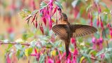 GEO Leserfoto: Die besten Leserfotos: September 2014 - Bild 8
