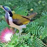 GEO Leserfoto: Die besten Leserfotos: September 2014 - Bild 12