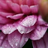 GEO Leserfoto: Die besten Leserfotos: September 2014 - Bild 13