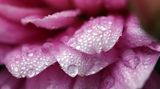 GEO Leserfoto: Die besten Leserfotos: September 2014 - Bild 13