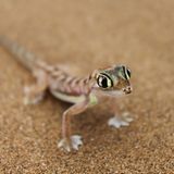 GEO Leserfoto: Die besten Leserfotos: September 2014 - Bild 16