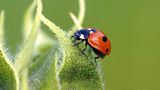 GEO Leserfoto: Die besten Leserfotos: September 2014 - Bild 17