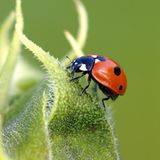 GEO Leserfoto: Die besten Leserfotos: September 2014 - Bild 17