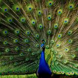 GEO Leserfoto: Die besten Leserfotos: September 2014 - Bild 20