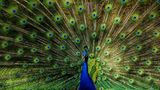 GEO Leserfoto: Die besten Leserfotos: September 2014 - Bild 20