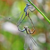 GEO Leserfoto: Die besten Leserfotos: September 2014 - Bild 21