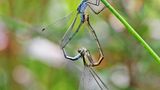 GEO Leserfoto: Die besten Leserfotos: September 2014 - Bild 21