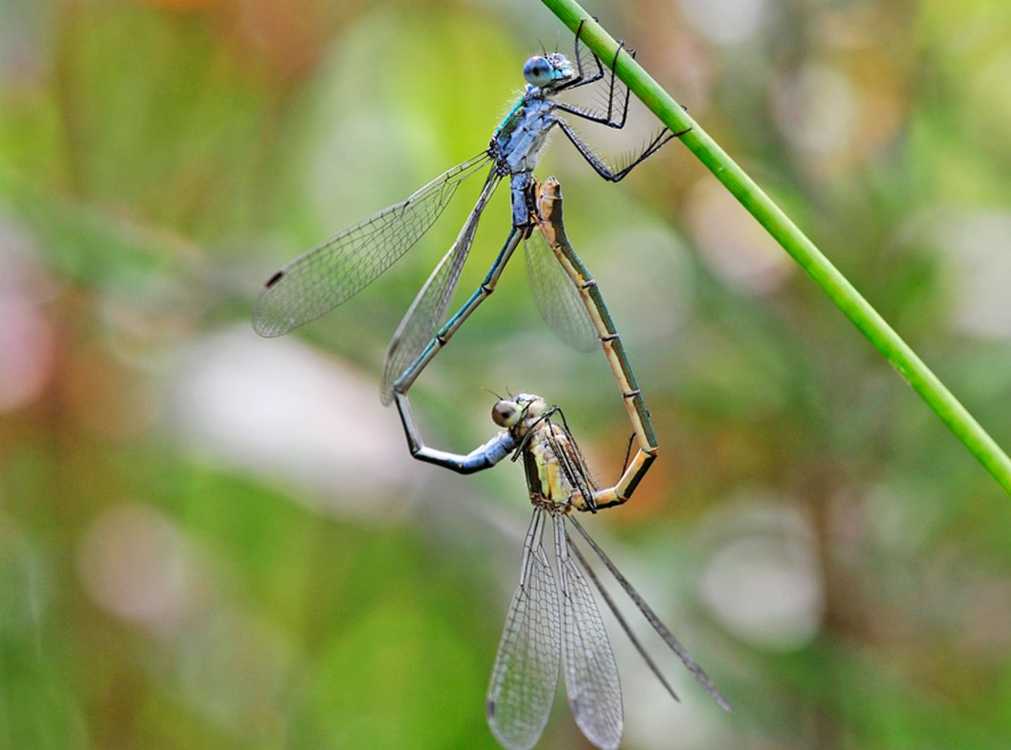 GEO Leserfoto: Die besten Leserfotos: September 2014 - Bild 21