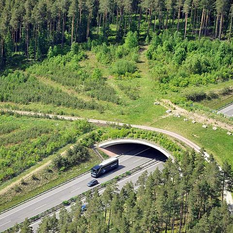 Wolfsberg, Thüringen