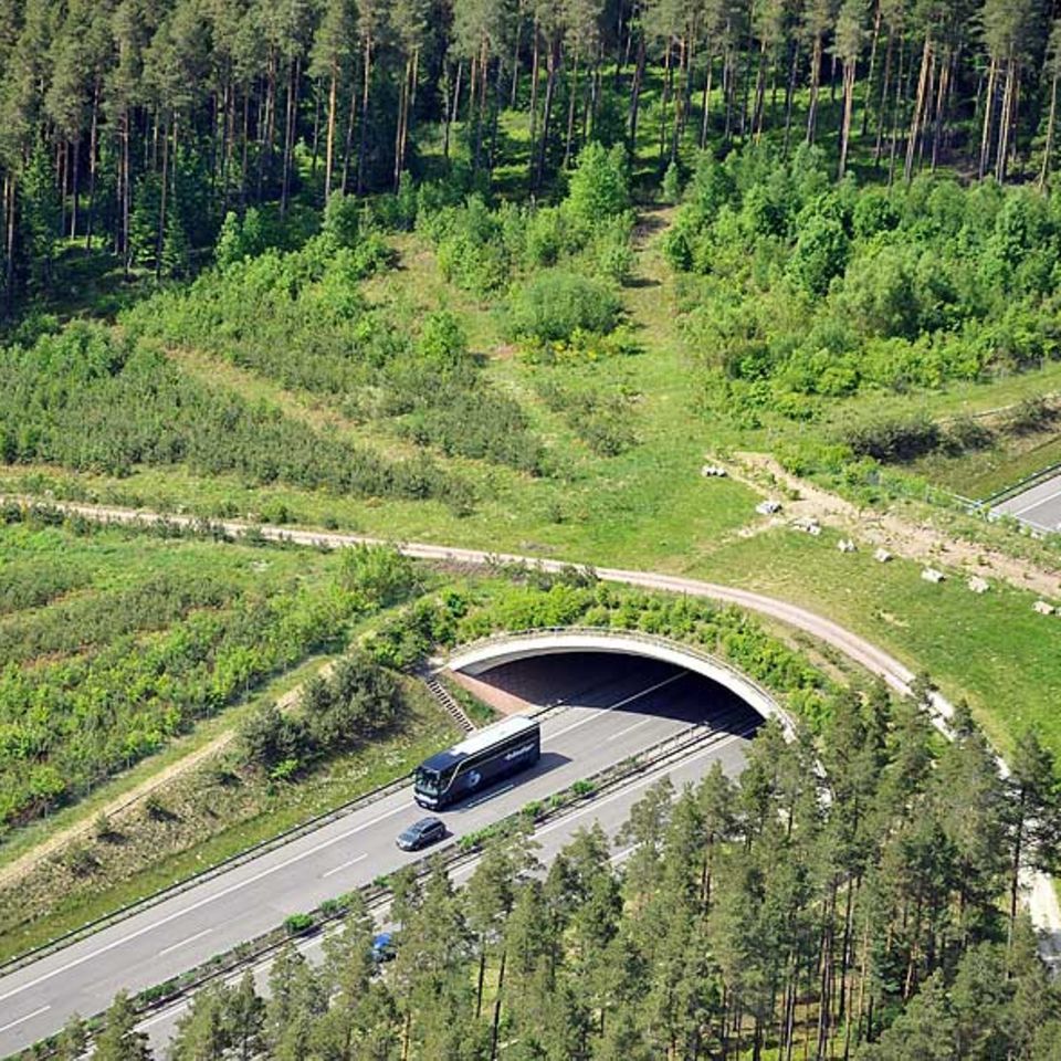 Wolfsberg, Thüringen