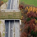 Zwischen Winterthur und Schaffhausen, Schweiz