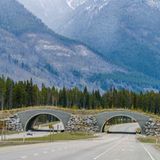 Banff-Nationalpark, Alberta