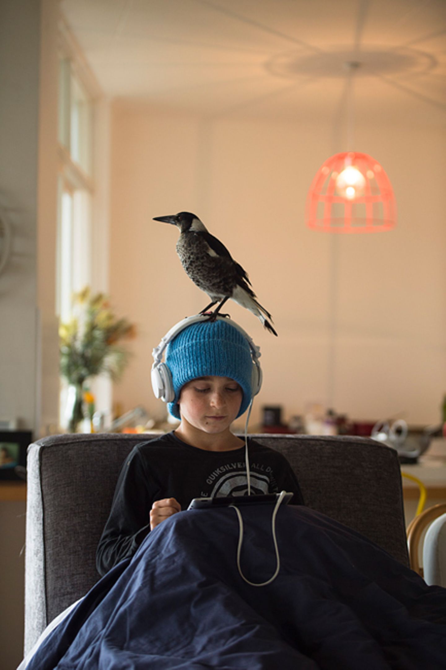 Die Geschichte des Penguin Bloom