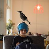 Die Geschichte des Penguin Bloom