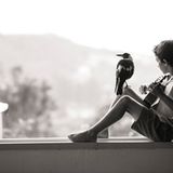 Die Geschichte des Penguin Bloom