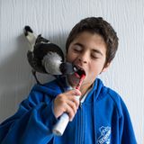 Die Geschichte des Penguin Bloom