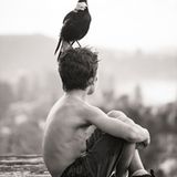 Die Geschichte des Penguin Bloom