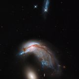 Delfin? Pinguin? Oder doch Kolibri? (10.06.2015)