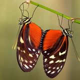 GEO Leserfoto: Die besten Leserfotos: Dezember 2015 - Bild 9