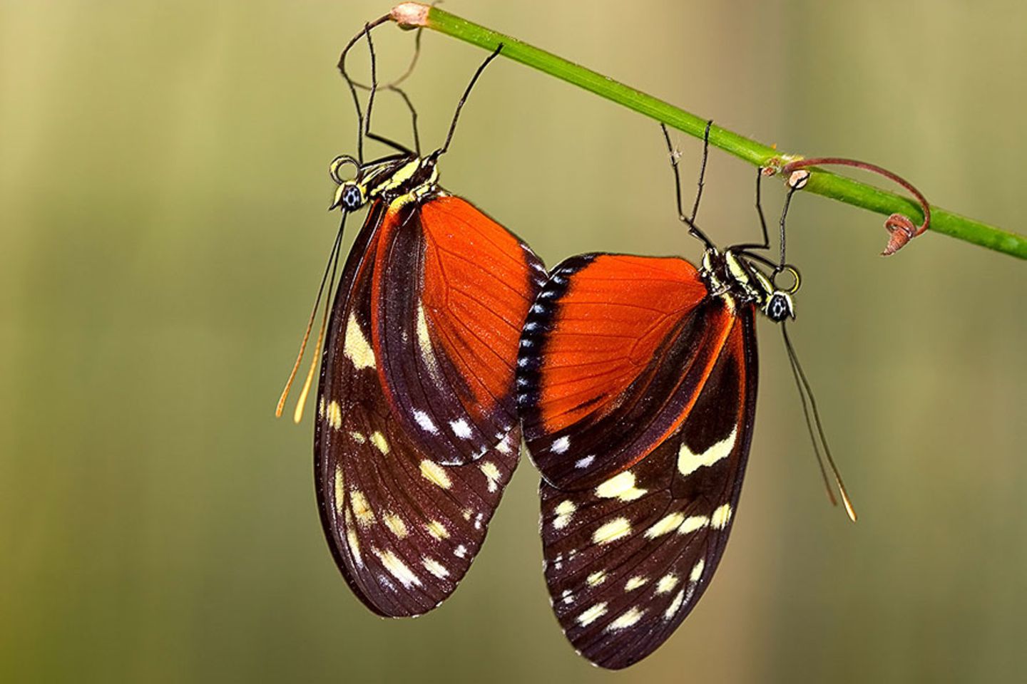 GEO Leserfoto: Die besten Leserfotos: Dezember 2015 - Bild 9