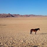 GEO Leserfoto: Die besten Leserfotos: Dezember 2015 - Bild 11