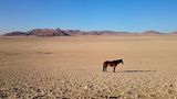 GEO Leserfoto: Die besten Leserfotos: Dezember 2015 - Bild 11