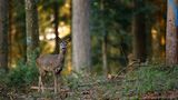 GEO Leserfoto: Die besten Leserfotos: Dezember 2015 - Bild 13
