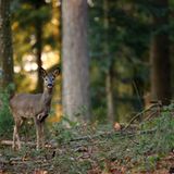 GEO Leserfoto: Die besten Leserfotos: Dezember 2015 - Bild 13