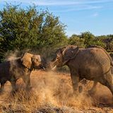 GEO Leserfoto: Die besten Leserfotos: Dezember 2015 - Bild 19