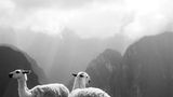 GEO Leserfoto: Die besten Leserfotos: Dezember 2015 - Bild 21