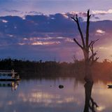 Flussabwärts auf dem Murray