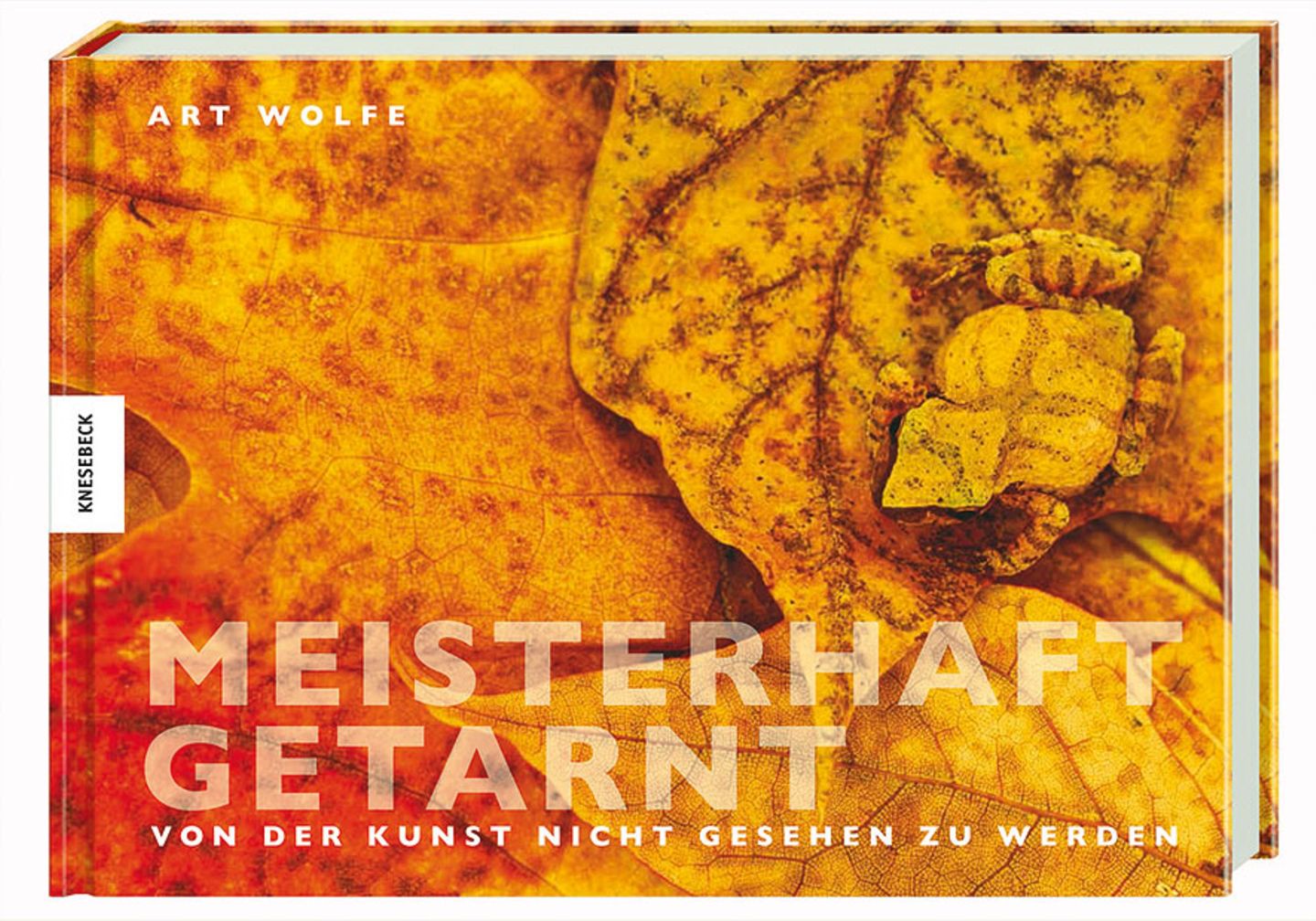 Tarnung: Die Kunst, nicht gesehen zu werden - Bild 11