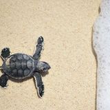 Unterwegs in der Gefahrenzone