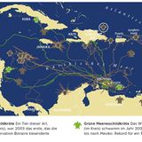 Tierische Erinnerung