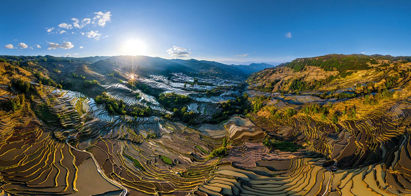 Yuanyang