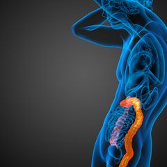 Ernährung: Wie das Fasten unseren Körper heilt