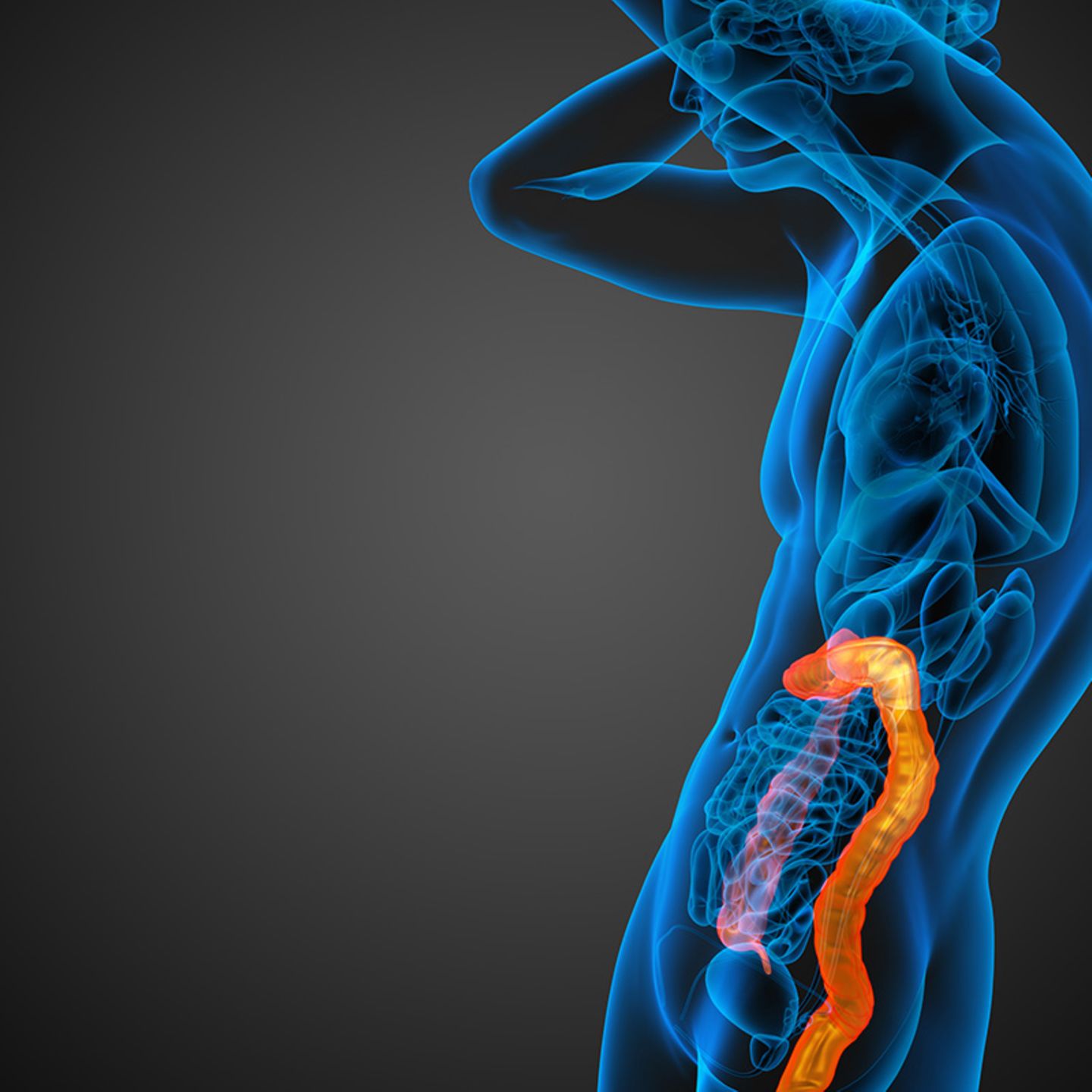 Ernährung: Wie das Fasten unseren Körper heilt